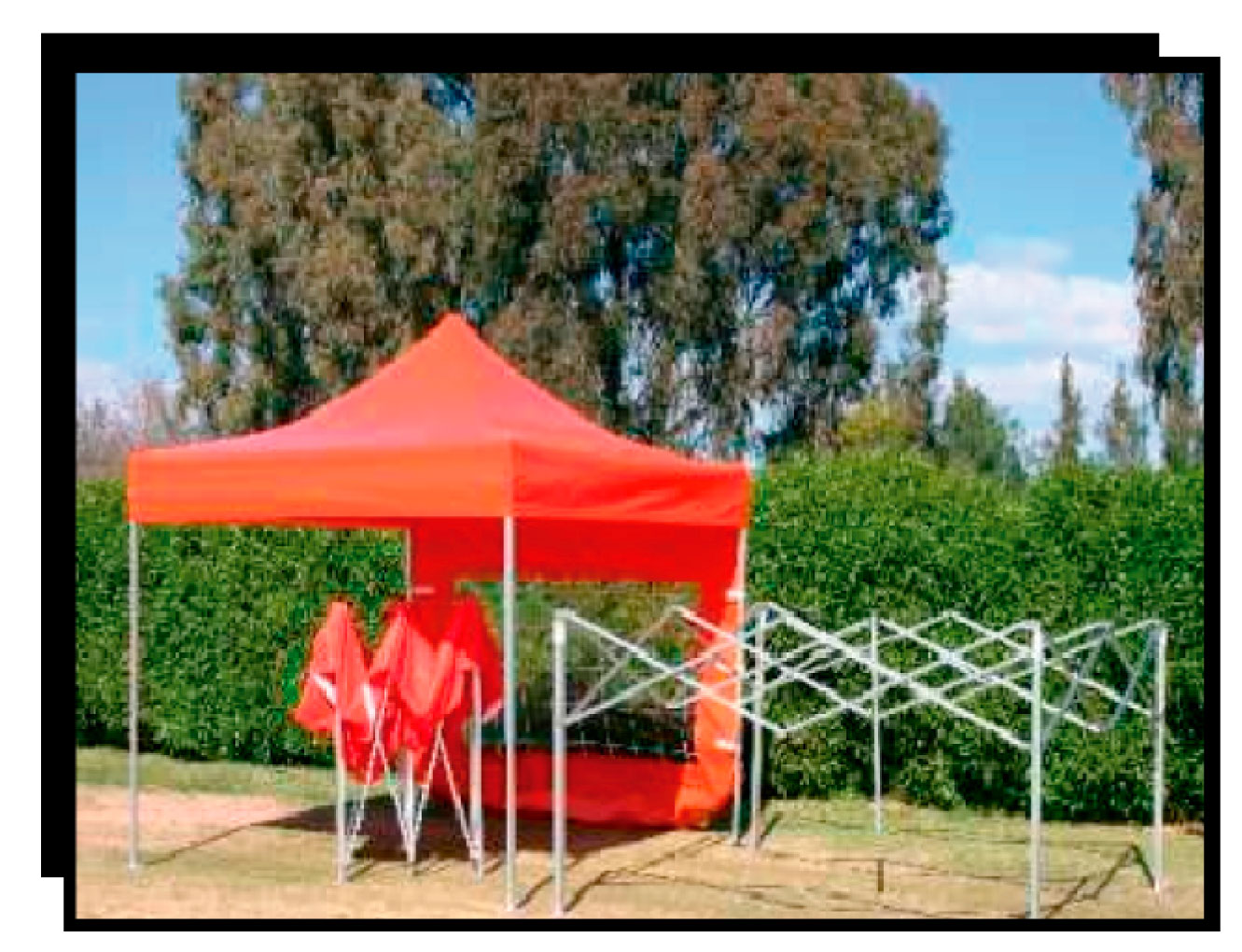 Carpas 3